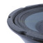 Eminence Delta 10A